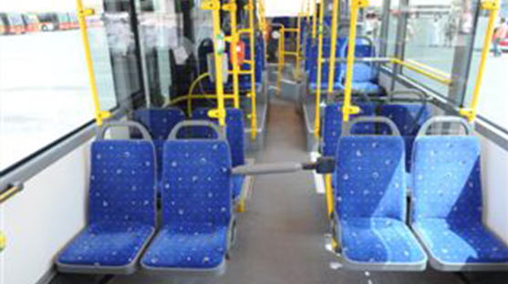 Standard Buses