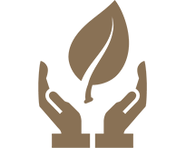 Icon for Initiatives in Environmental Protection