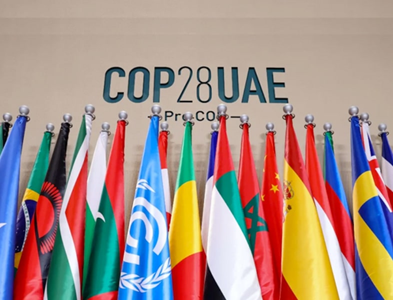 COP 28 flags image