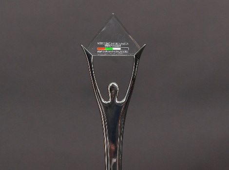 an image of Stevie award